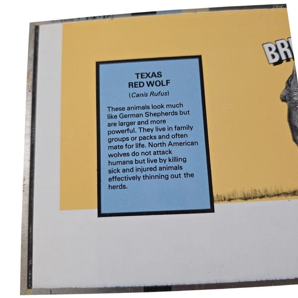 Brickskeller Beer Texas Red Wolf Endangered Species flat unrolled Can